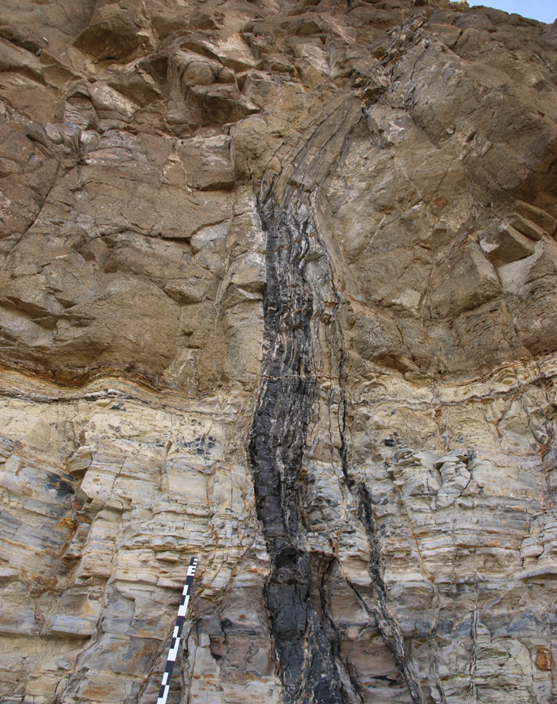 A large graphitic bitumen dyke, which breaks through the grey host rock and the brown andesitic intrusion.