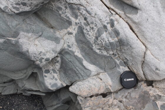 Dark grey patches within a lighter grey rock exposure, representing two different mingling magmas. There is a canon camera lens for scale.
