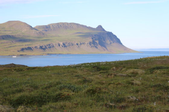Grassy embankment in front of a fjord. On the other side of the fjord is a hilly, rocky landscape composed of lava layers that dip toward the left of the image.