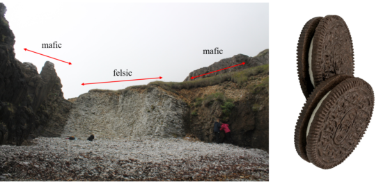 An exposure of the inside of the composite dyke, showing almost the entire width. The margins are made up of dark mafic rock. The core of the dyke is composed of slatey, pale, felsic magma. On the right are two oreo biscuits to highlight the visual comparison.