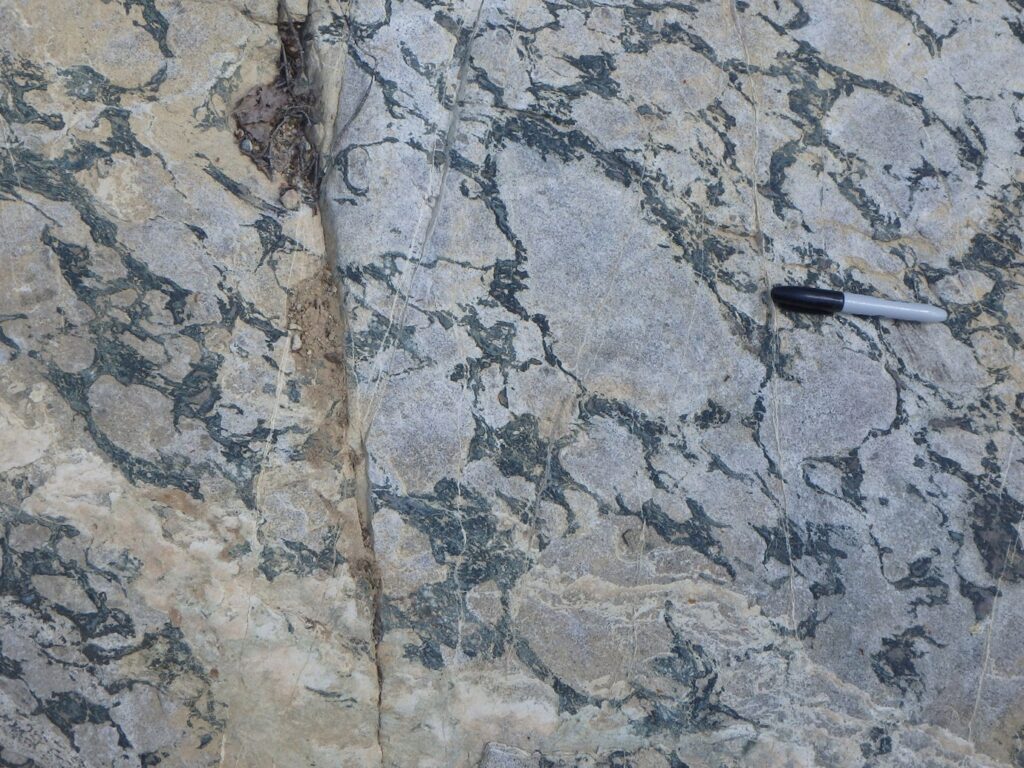 A close up photograph of an outcrop containing large oval megacrysts of anorthosite. 