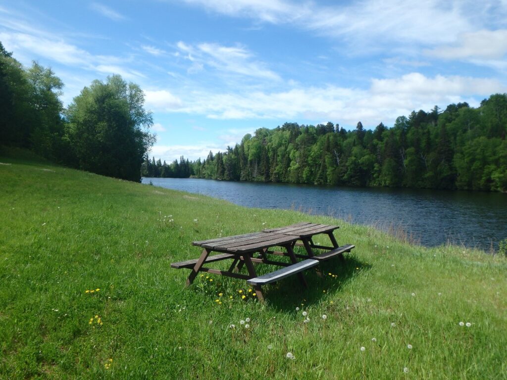 A photograph of a green grassy river bank with a picnic bench in the foreground and trees in the background.