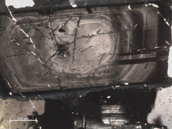 Photomicrograph of an oscillatory zoned plagioclase crystal. The image shows varying black-grey-white zones. 