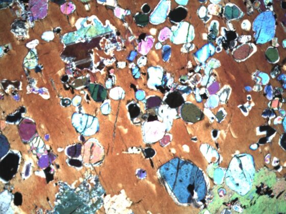 A photomicrograph of peridotite with oval brightly coloured olivine crystals.