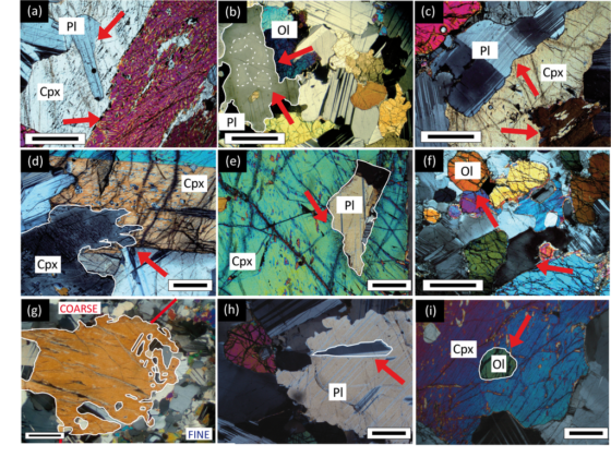 Photomicrographs in plane polarized light of characteristic interaction textures identified in Atlantis Bank gabbros. 