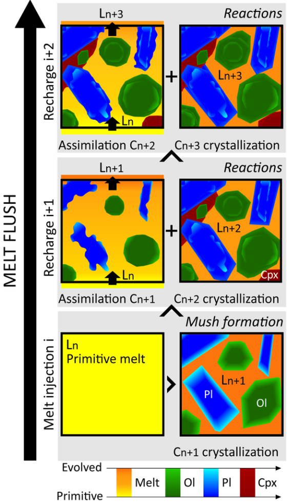 Simplified view of a mush at the crystal scale where melt flush occurs. This figure shows the progressive removal (+/- mixing) of interstitial evolved melt (Ln+1) from the crystal matrix replaced by the primitive melt (Ln) that partially assimilates the minerals before/together with crystallization of a new generation recording both the average more primitive character of the melt and chemical evidence for RPF. 
